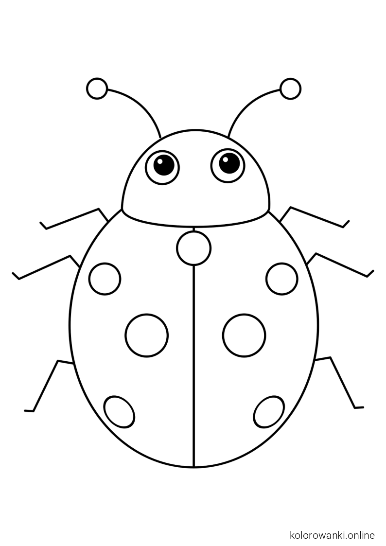 Biedronki kolorowanki